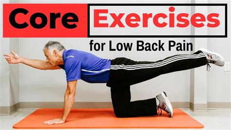 back and spine near freedom|The Best Exercises to Prevent Lower Back Pain .